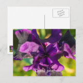 アイリスに感謝の気持ちを込めて ポストカード (正面/裏面)
