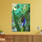 アイリスの上のグリーンツリーカエル キャンバスプリント (インサイチュ (リビング))
