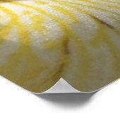 アイリスの愛のために ポスター (角)