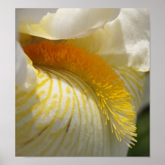 アイリスの愛のために ポスター (正面)