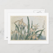 アイリスの花とグラスパー, c.1830-31 ポストカード (正面/裏面)