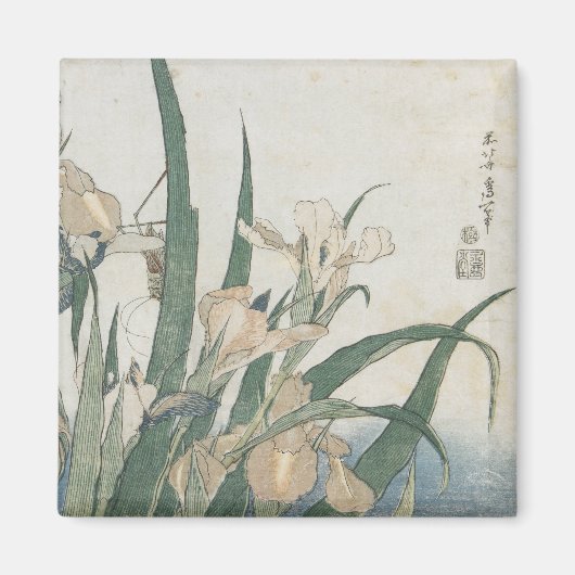 アイリスの花とグラスパー， c.1830-31 マグネット (正面)