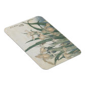 アイリスの花とグラスパー， c.1830-31 マグネット (右側)