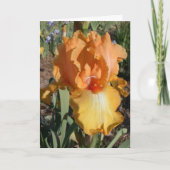 アイリスは健康なカードを得ます カード (正面)