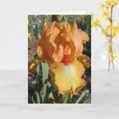 アイリスは健康なカードを得ます カード (黄色い花)