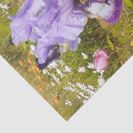 アイリスアイリスパープルフラワー誕生日ガールズネーム 薄葉紙 (詳細)