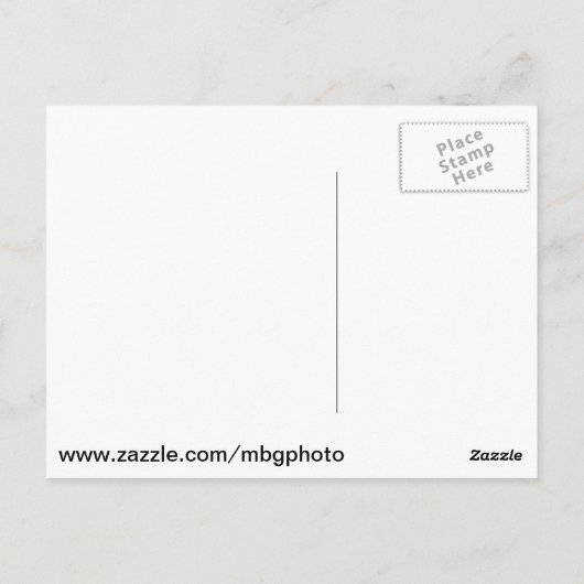 アイリスアットミズーリ植物園 ポストカード (裏面)