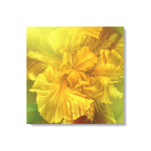 アイリスイン美しい（暖かい黄色）正方形のキャンバス