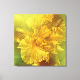 アイリスイン美しい(暖かい黄色)正方形のキャンバス キャンバスプリント