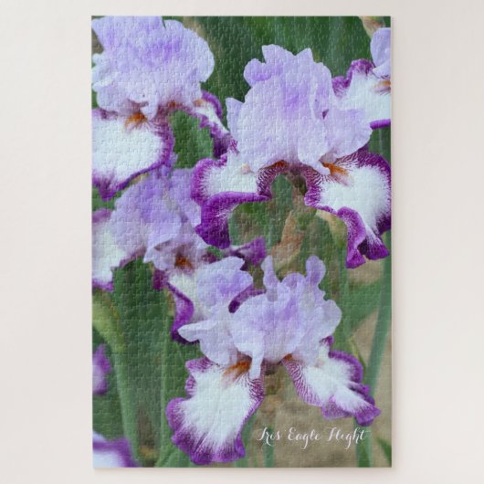 アイリスイーグルフライト[ジグソーパズル: 1014P] ジグソーパズル (縦)