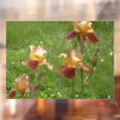 アイリスウィンドウの固定 ウィンドウサイン (シート2)