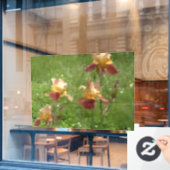 アイリスウィンドウの固定 ウィンドウサイン (カフェ窓)