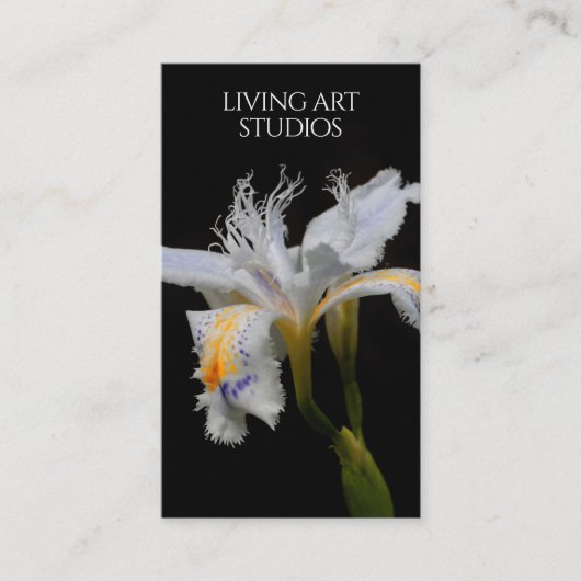 アイリスエレガントスタジオフォトグラファーリスト子供部屋 名刺 (正面)