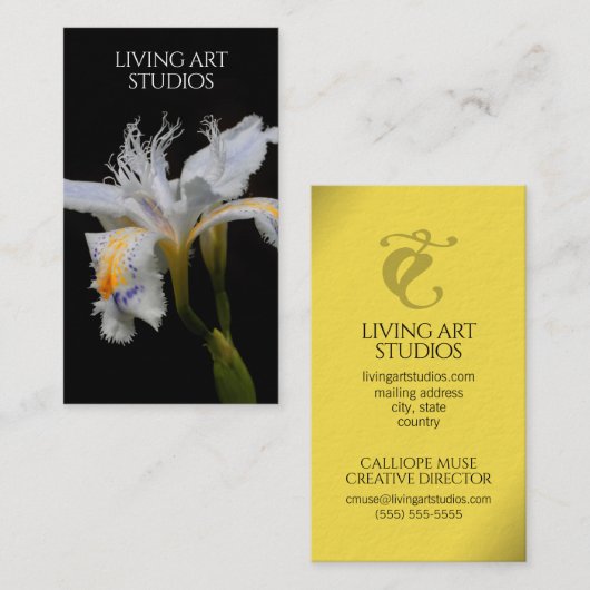 アイリスエレガントスタジオフォトグラファーリスト子供部屋 名刺 (正面/裏面)