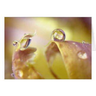 アイリスカードの目