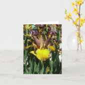 アイリスカード – PIPER MAY – ノートカ空白のード カード (黄色い花)