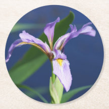 アイリスコースターパック6