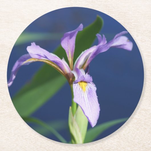 アイリスコースターパック6 ラウンドペーパーコースター (正面)