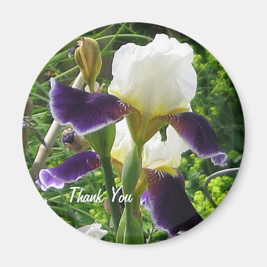 アイリスサンキューマグネット マグネット (正面)