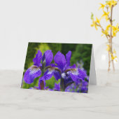 アイリスシビリカ花の写真 カード (黄色い花)