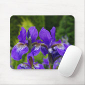 アイリスシビリカ花の写真 マウスパッド (マウス)