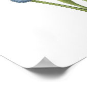 アイリススペインのス（アイリス・キシピウム） by Redoune ポスター (角)