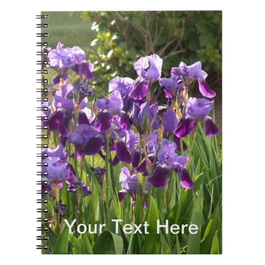 アイリスノート ノートブック (正面)