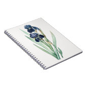 アイリスノート ノートブック (右側)