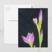 アイリスハガキ ポストカード (正面/裏面)