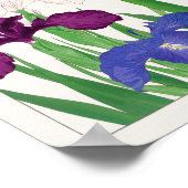 アイリスバイタニガミ湖南 ポスター (角)