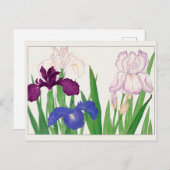 アイリスバイタニガミ湖南 ポストカード (正面/裏面)