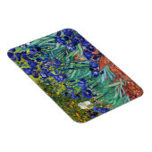 アイリスバイビンセント・ヴァン・ゴッホ マグネット (右側)