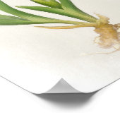 アイリスパミラフローラプリント ポスター (角)