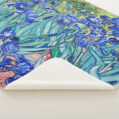 アイリスビンセント・ヴァン・ゴッホ シェルパブランケット (3/4)