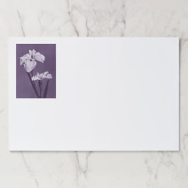 アイリスファインアート ペーパーパッド