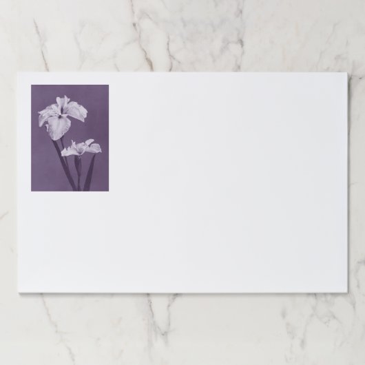 アイリスファインアート ペーパーパッド (正面)