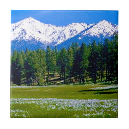 アイリスフィールドとエルクホーン山脈！ タイル (正面)