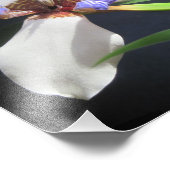 アイリスフォトプリント フォトプリント            (角)