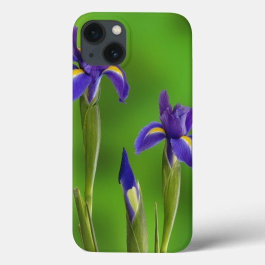 アイリスフラワーズ Case-Mate iPhoneケース (裏面)