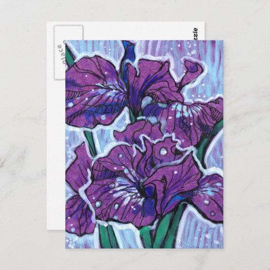 アイリスフラワー春の花絵画ズフローラの紫 ポストカード (正面/裏面)