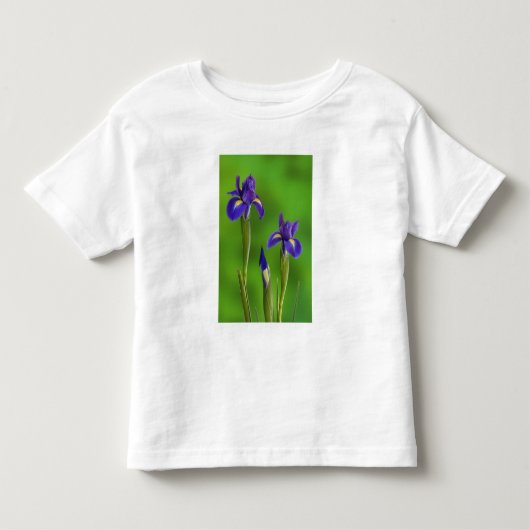 アイリスフラワー トドラーTシャツ (正面)