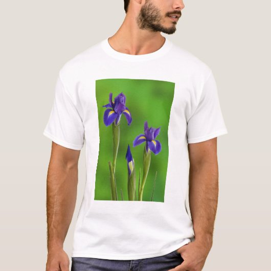 アイリスフラワー Tシャツ (正面)