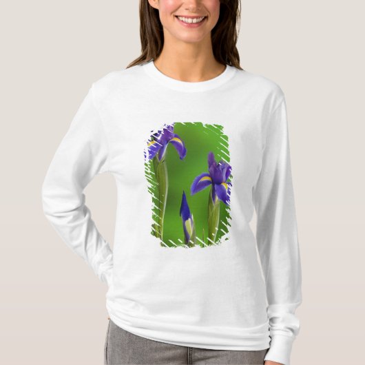 アイリスフラワー Tシャツ (正面)