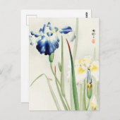アイリスフローラ絵画フラワーズバイ大原小村 ポストカード (正面/裏面)
