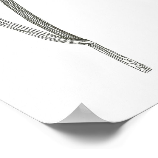 アイリスプリント ポスター (角)