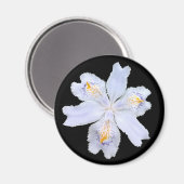 アイリスホワイト マグネット (正面/裏面)