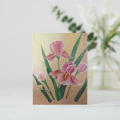 アイリスポストカード ポストカード (スタンド正面)