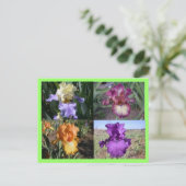 アイリスポストカード ポストカード (スタンド正面)