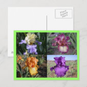 アイリスポストカード ポストカード (正面/裏面)
