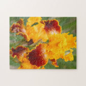 アイリス'ミシガンプライド' [ジグソーパズル:252P] ジグソーパズ ジグソーパズル (横)